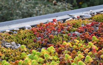 the cost of Maidencombe green roof installation