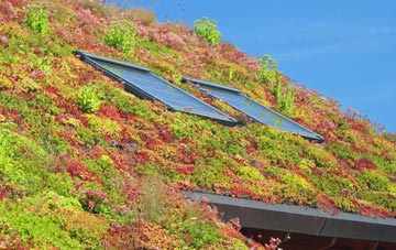 Maidencombe living roof systems
