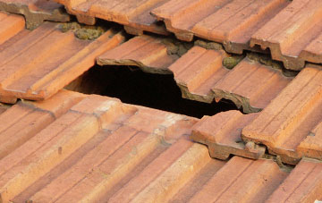 roof repair Maidencombe, Devon